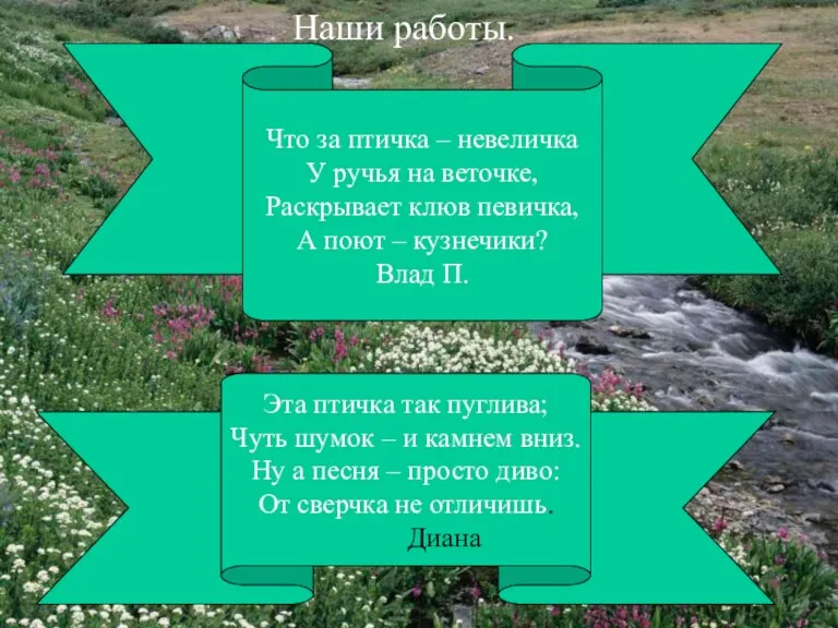 Наши работы. Что за птичка – невеличка У ручья на веточке, Раскрывает