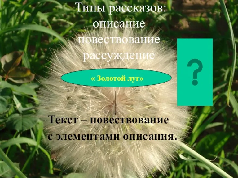 Типы рассказов: описание повествование рассуждение Текст – повествование с элементами описания. « Золотой луг»