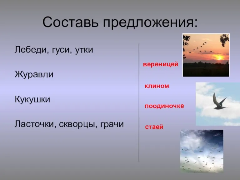 Составь предложения: Лебеди, гуси, утки Журавли Кукушки Ласточки, скворцы, грачи вереницей поодиночке стаей клином