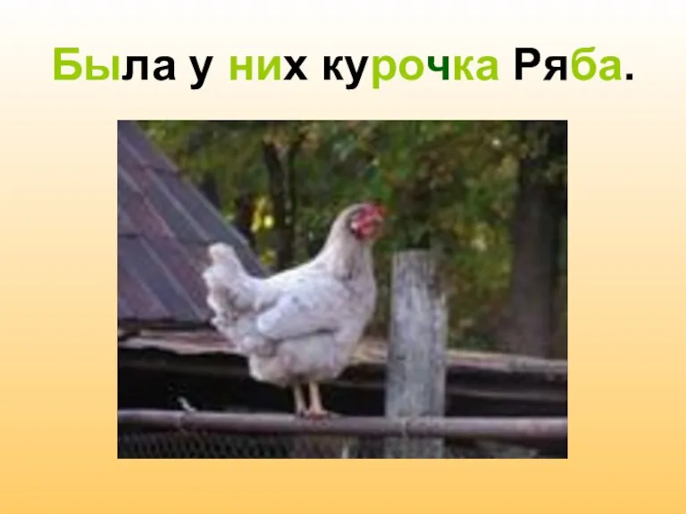 Была у них курочка Ряба.