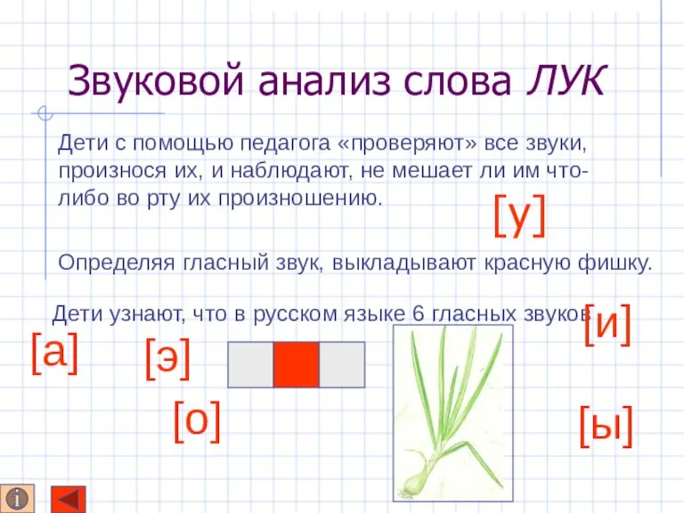 Звуковой анализ слова ЛУК Определяя гласный звук, выкладывают красную фишку. Дети узнают,