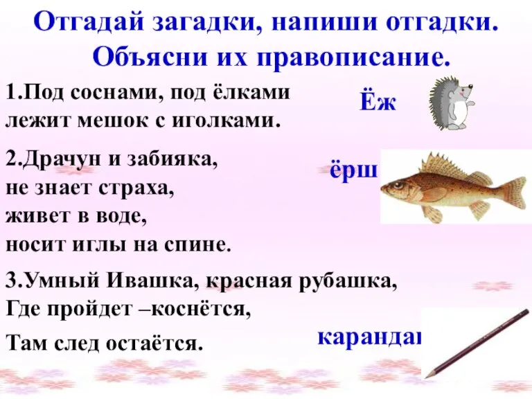 Отгадай загадки, напиши отгадки. Объясни их правописание. 1.Под соснами, под ёлками лежит