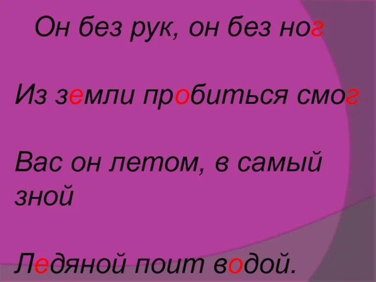 Он без рук, он без ног Из земли пробиться смог Вас он