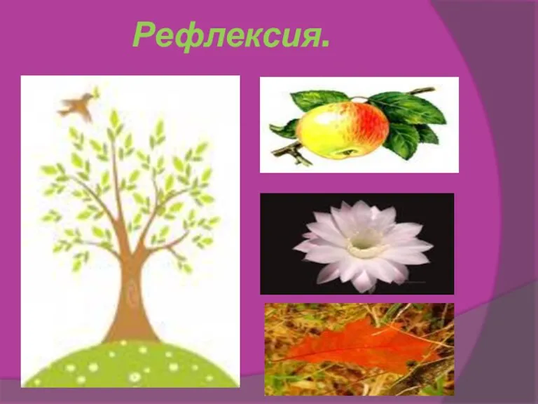 Рефлексия.