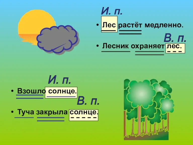 Взошло солнце. Туча закрыла солнце. Лес растёт медленно. Лесник охраняет лес. И.