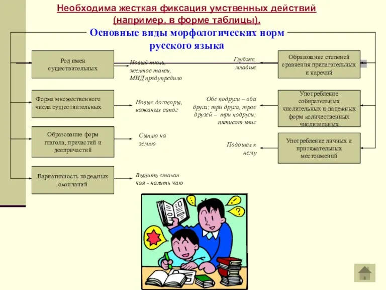 Основные виды морфологических норм русского языка Род имен существительных Вариативность падежных окончаний