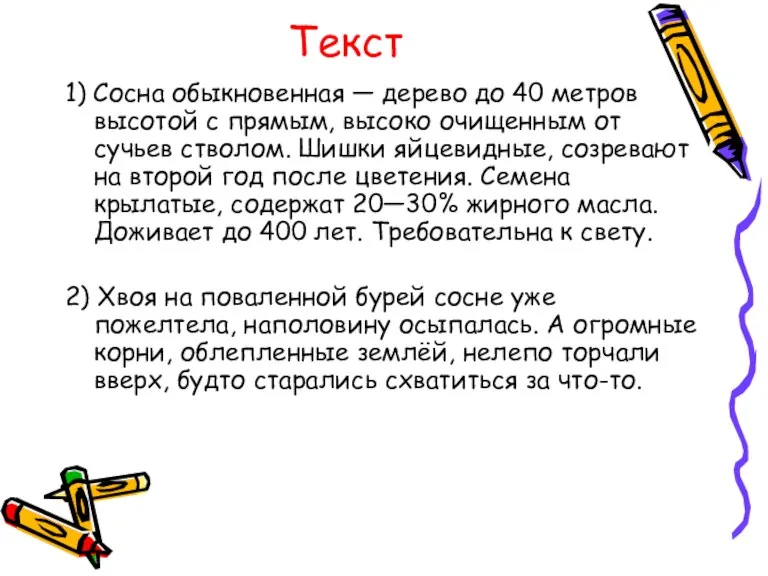 Текст 1) Сосна обыкновенная — дерево до 40 метров высотой с прямым,