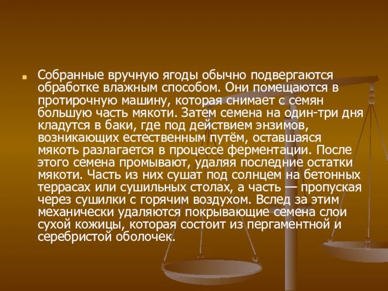 Собранные вручную ягоды обычно подвергаются обработке влажным способом. Они помещаются в протирочную