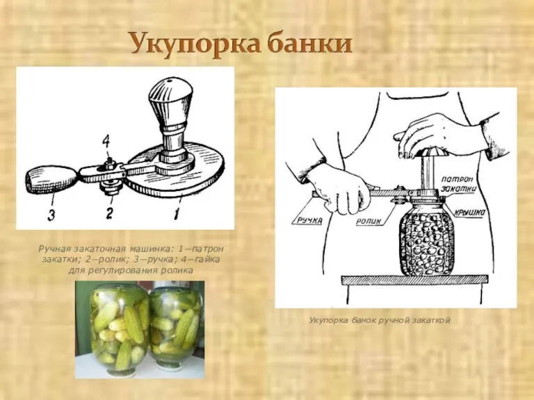 Укупорка банок ручной закаткой Ручная закаточная машинка: 1—патрон закатки; 2—ролик; 3—ручка; 4—гайка для регулирования ролика