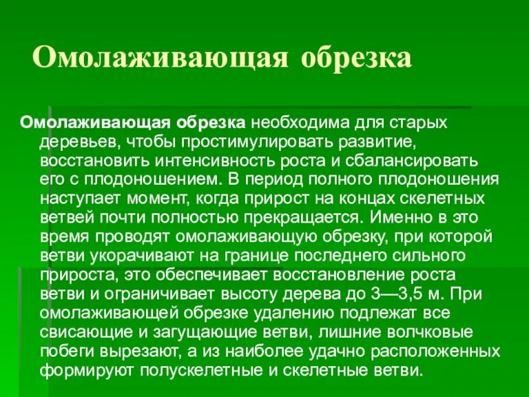 Омолаживающая обрезка Омолаживающая обрезка необходима для старых деревьев, чтобы простимулировать развитие, восстановить