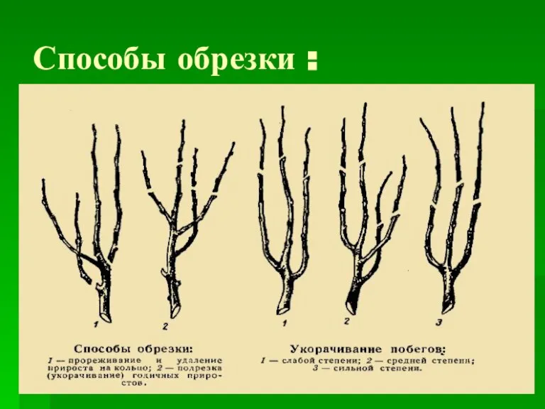 Способы обрезки :