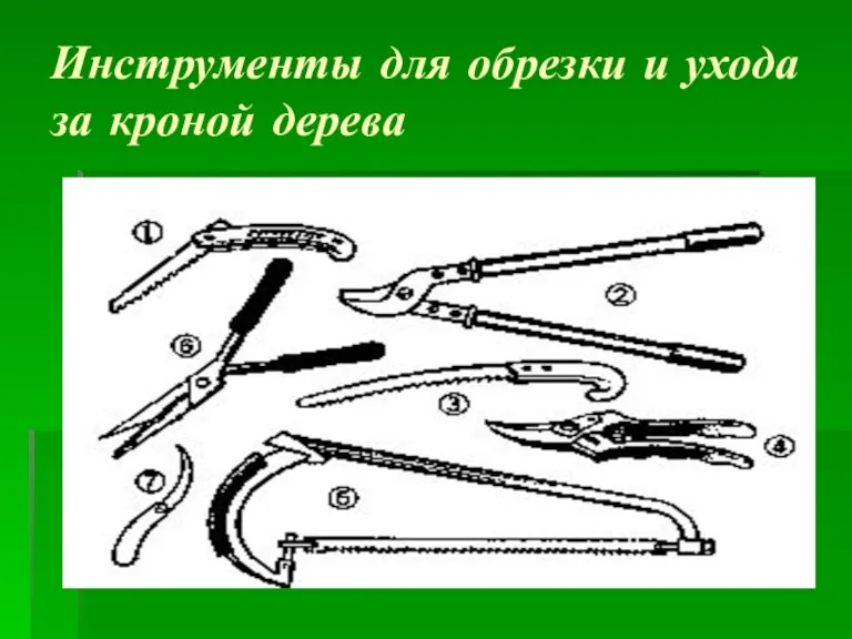 Инструменты для обрезки и ухода за кроной дерева