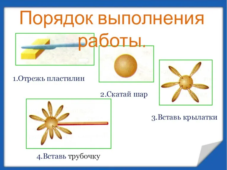 Порядок выполнения работы. 1.Отрежь пластилин 2.Скатай шар 3.Вставь крылатки 4.Вставь трубочку