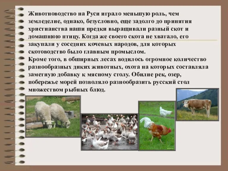 Животноводство на Руси играло меньшую роль, чем земледелие, однако, безусловно, еще задолго