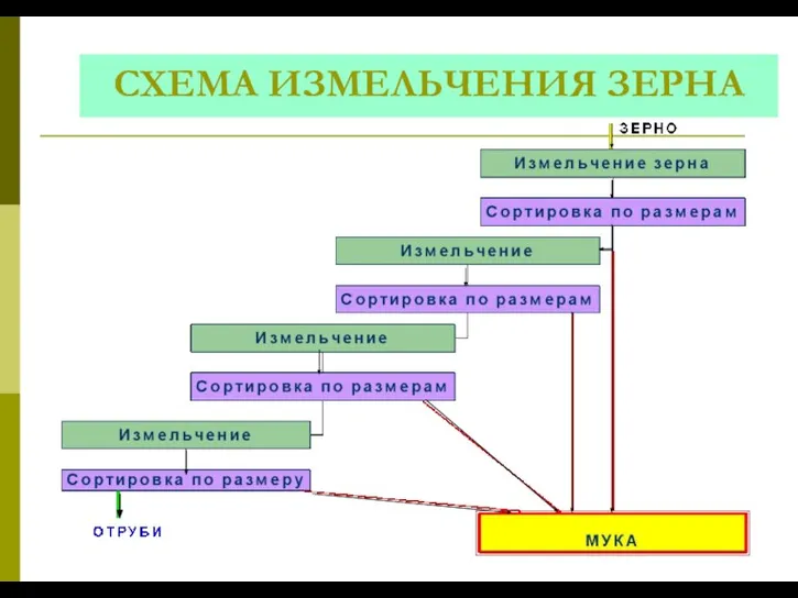 СХЕМА ИЗМЕЛЬЧЕНИЯ ЗЕРНА