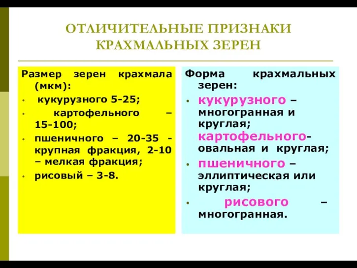 ОТЛИЧИТЕЛЬНЫЕ ПРИЗНАКИ КРАХМАЛЬНЫХ ЗЕРЕН Размер зерен крахмала (мкм): кукурузного 5-25; картофельного –