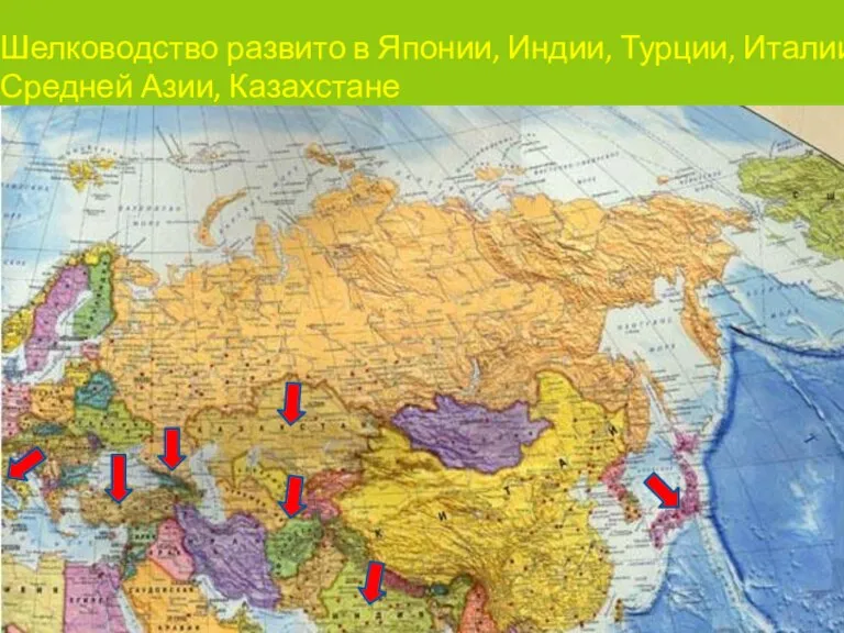 Шелководство развито в Японии, Индии, Турции, Италии, Средней Азии, Казахстане