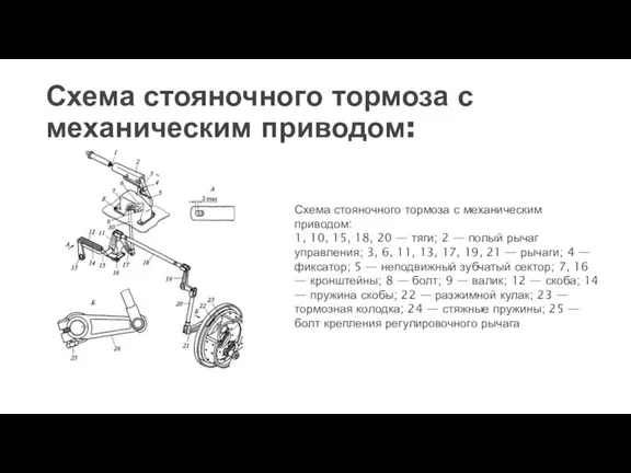 Схема стояночного тормоза с механическим приводом: Схема стояночного тормоза с механическим приводом: