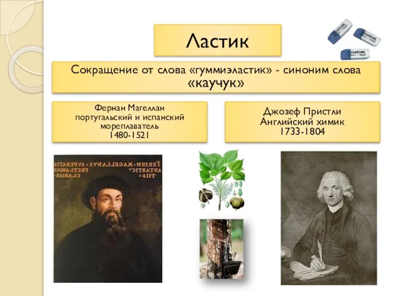 Ластик Сокращение от слова «гуммиэластик» - синоним слова «каучук» Фернан Магеллан португальский