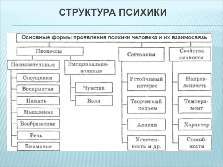 СТРУКТУРА ПСИХИКИ