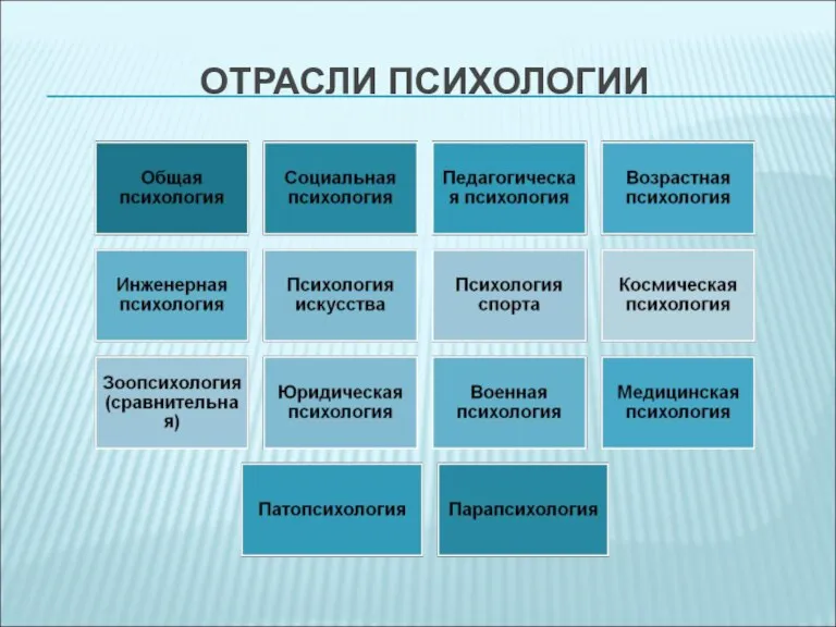 ОТРАСЛИ ПСИХОЛОГИИ