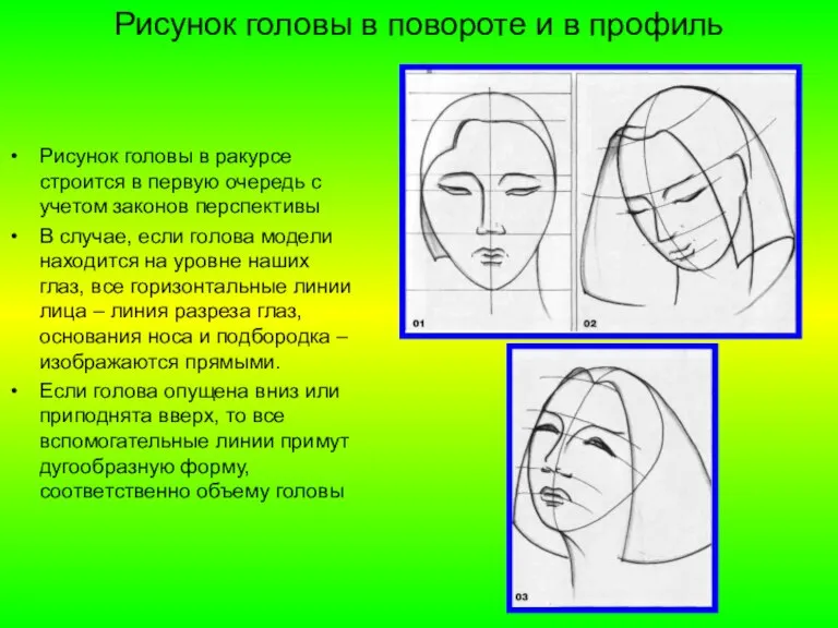 Рисунок головы в повороте и в профиль Рисунок головы в ракурсе строится