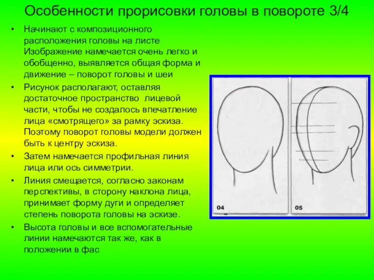 Особенности прорисовки головы в повороте 3/4 Начинают с композиционного расположения головы на