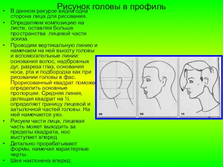 Рисунок головы в профиль В данном ракурсе видна одна сторона лица для