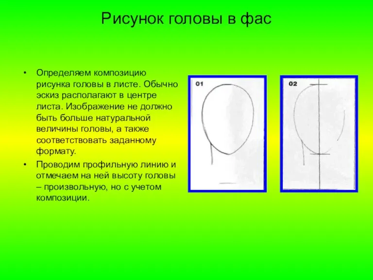 Рисунок головы в фас Определяем композицию рисунка головы в листе. Обычно эскиз