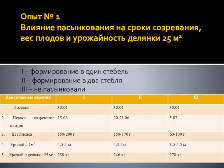 Опыт № 1 Влияние пасынкования на сроки созревания, вес плодов и урожайность