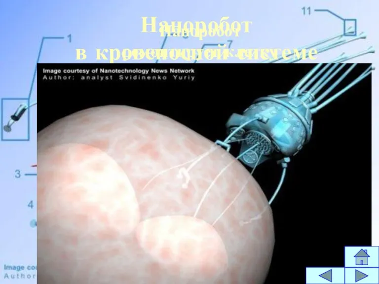 Наноробот в кровеносной системе Наноробот ремонтирует клетку