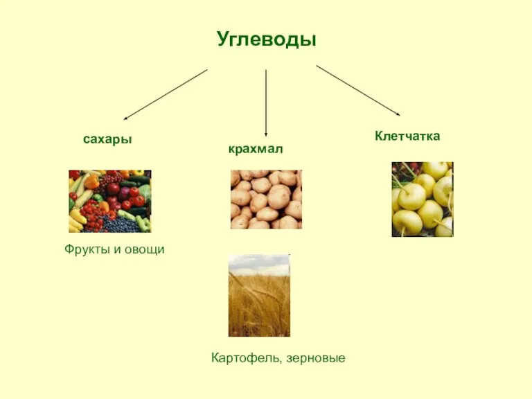 Углеводы сахары крахмал Клетчатка Фрукты и овощи Картофель, зерновые