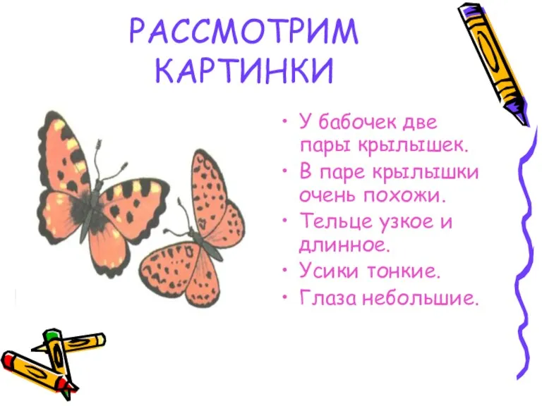 РАССМОТРИМ КАРТИНКИ У бабочек две пары крылышек. В паре крылышки очень похожи.