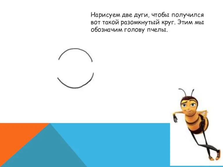 Нарисуем две дуги, чтобы получился вот такой разомкнутый круг. Этим мы обозначим голову пчелы.