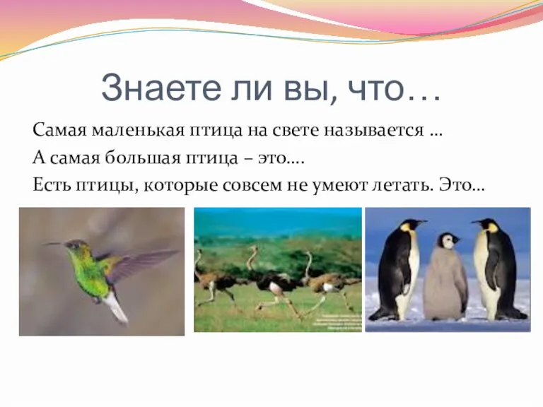 Знаете ли вы, что… Самая маленькая птица на свете называется … А