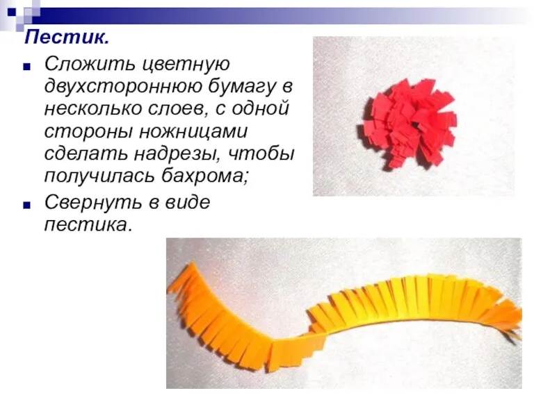 Пестик. Сложить цветную двухстороннюю бумагу в несколько слоев, с одной стороны ножницами