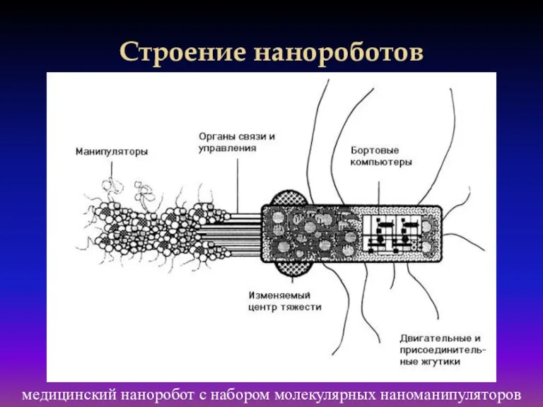 Строение нанороботов медицинский наноробот с набором молекулярных наноманипуляторов