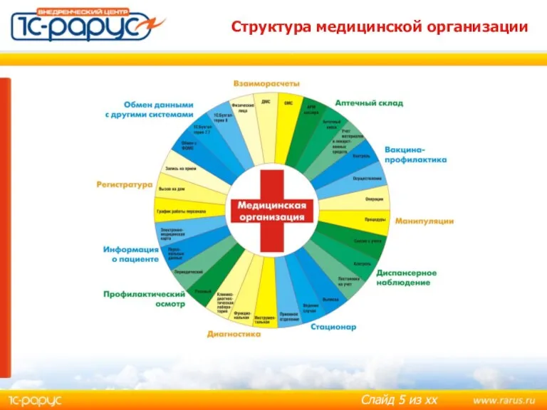 Структура медицинской организации