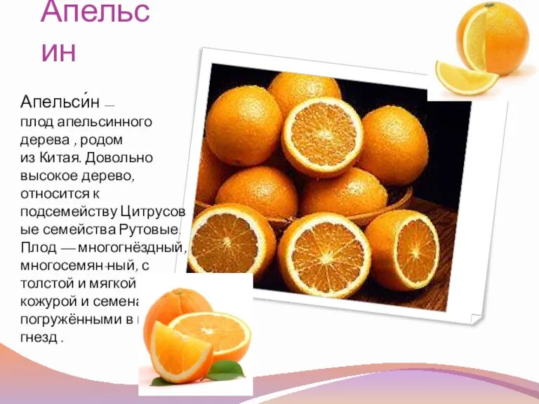 Апельсин Апельси́н — плод апельсинного дерева , родом из Китая. Довольно высокое