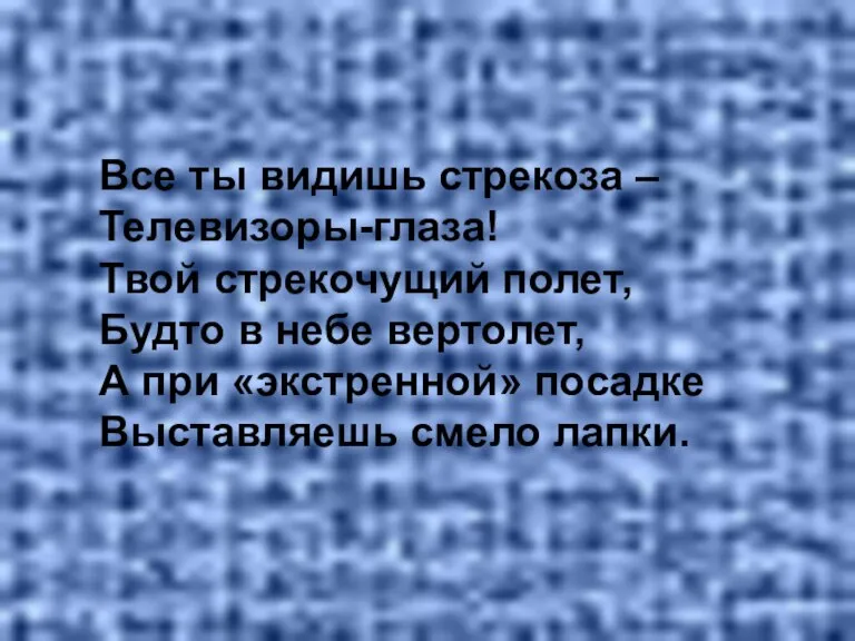 Все ты видишь стрекоза – Телевизоры-глаза! Твой стрекочущий полет, Будто в небе