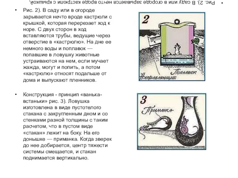 Рис. 2). В саду или в огороде зарывается нечто вроде кастрюли с