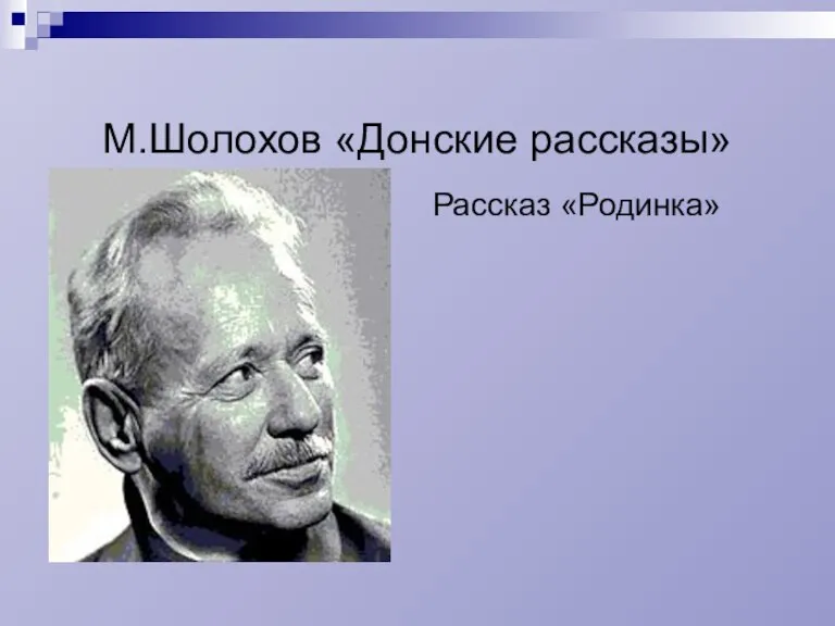 М.Шолохов «Донские рассказы» Рассказ «Родинка»