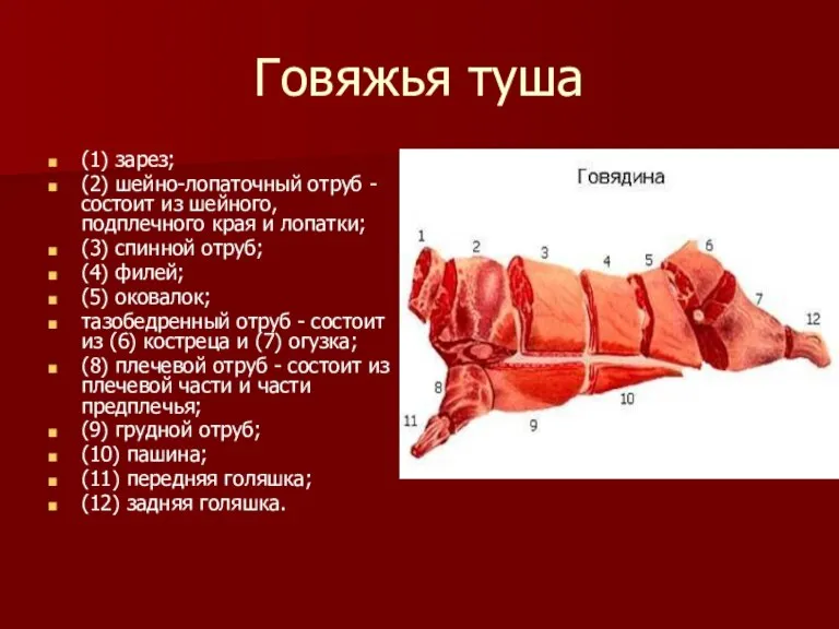 Говяжья туша (1) зарез; (2) шейно-лопаточный отруб - состоит из шейного, подплечного