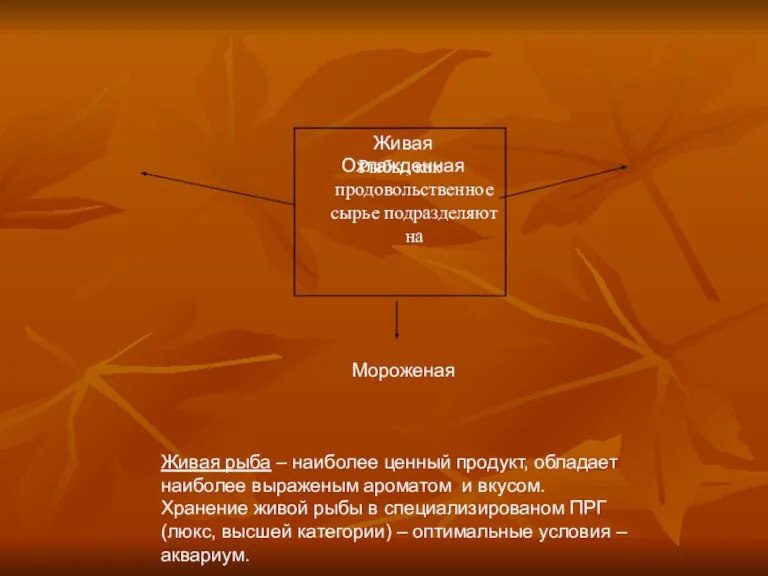 Живая Охлажденная Мороженая Живая рыба – наиболее ценный продукт, обладает наиболее выраженым