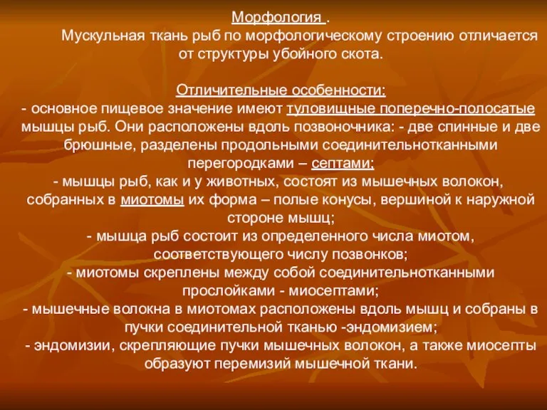 Морфология . Мускульная ткань рыб по морфологическому строению отличается от структуры убойного