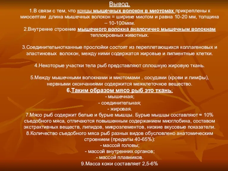 Вывод. 1.В связи с тем, что концы мышечных волокон в миотомах прикреплены