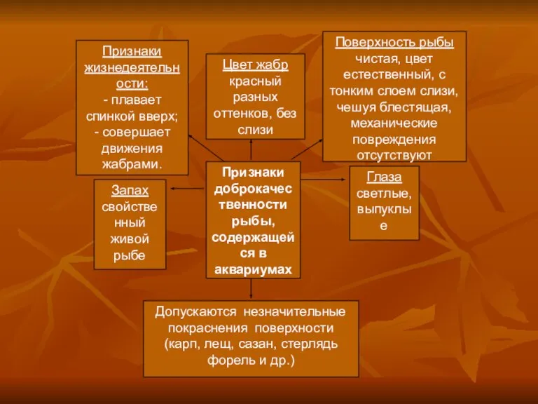 Признаки жизнедеятельности: - плавает спинкой вверх; - совершает движения жабрами. Поверхность рыбы