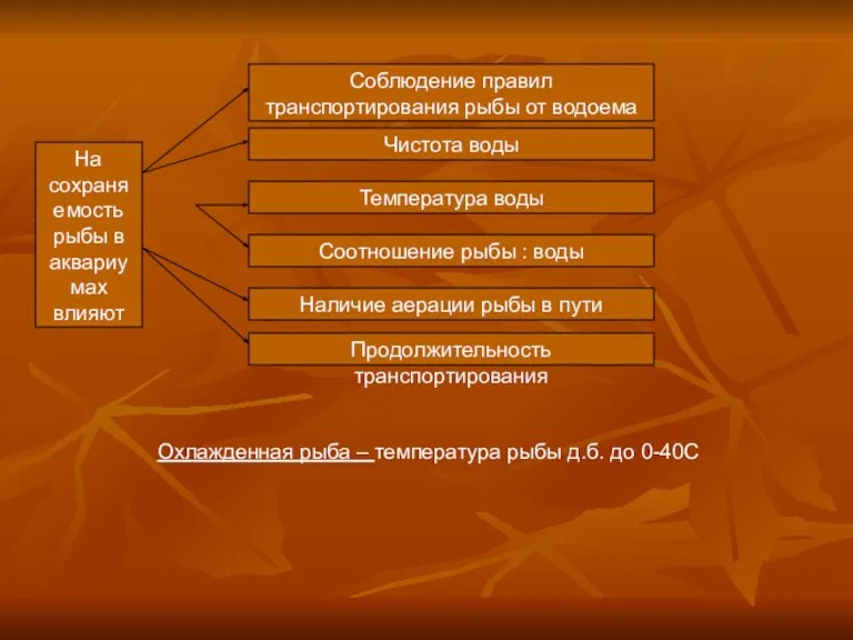 На сохраняемость рыбы в аквариумах влияют Соблюдение правил транспортирования рыбы от водоема