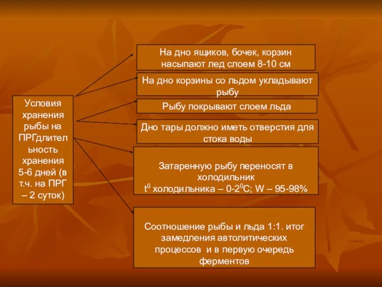 Условия хранения рыбы на ПРГдлительность хранения 5-6 дней (в т.ч. на ПРГ