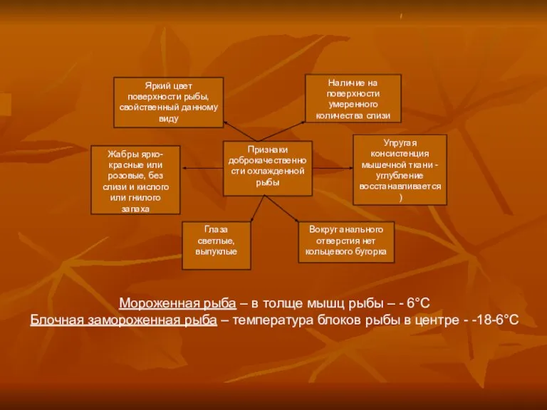 Признаки доброкачественности охлажденной рыбы Яркий цвет поверхности рыбы, свойственный данному виду Наличие